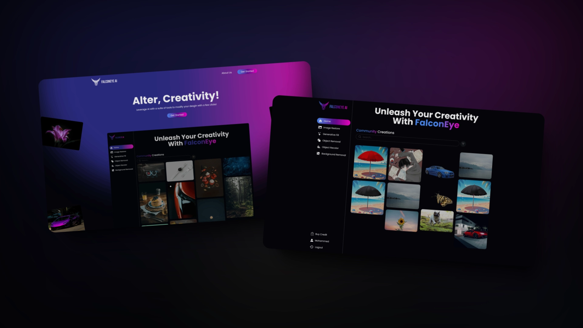 Falcon eye aiproject image